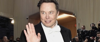 Kursras för Twitter sedan Musk pausat köp