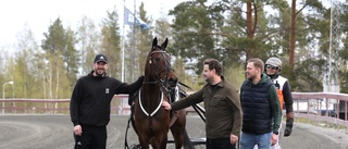 Jimmie Ericssons succé som hästägare – nyförvärvet slog till direkt på Skellefteåtravet: ”Mäktigt”