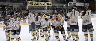 Brynäs och Rögle till elitserien