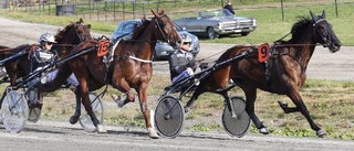 Bra V75-dag för Lennartsson på Skelleftetravet