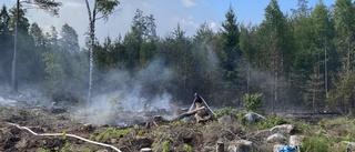 Bevakat området dag och natt efter stora skogsbranden