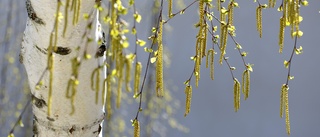 Försommarvärme i Motala och Vadstena hela veckan