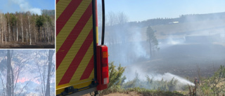 Gräsbrand orsakade stort pådrag utanför Skellefteå