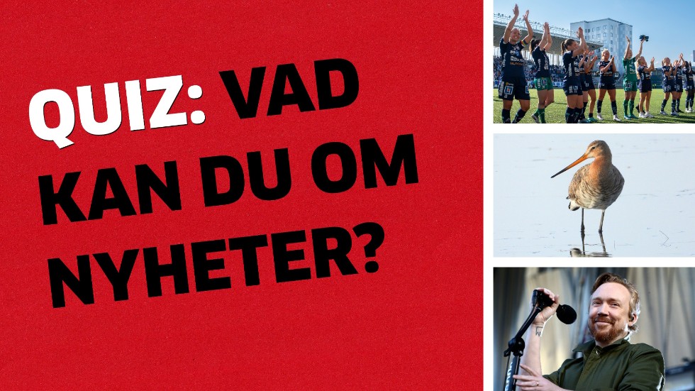 Quizdags igen!