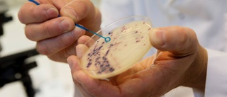 Varning utfärdad för antibiotikaresistens