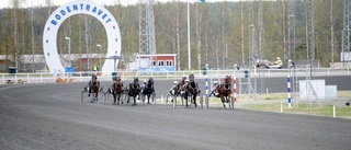 Rekordtidig premiär – här är Lundkvists spik