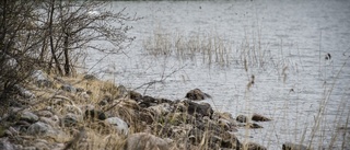 Lite regn - sedan väntas mer torka