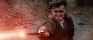 50 får sommarjobba med Harry Potter