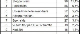 Näthatsgranskaren hjälpte polisen att dokumentera näthatet: "Skadligt för samhället"