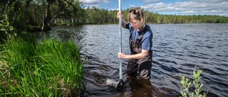 Klimatförändringarna syns i vattenproverna: Så påverkas fjällsjöarna 