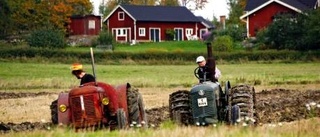 Extra festligt på Waldorf