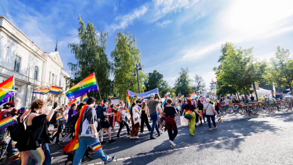 I augusti är det åter dags för Luleå Pride i Stadsparken och under fredagen avslöjades nyheter på en näringslivsfrukost i Luleå.