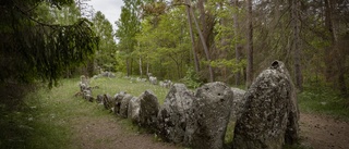 Granbarkborre gör fornlämningsbesök osäkert