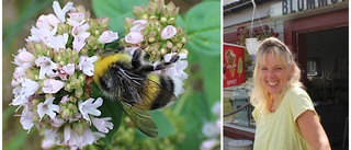 Nya trädgårdstrenden: "Det räcker inte med att blommorna är vackra"