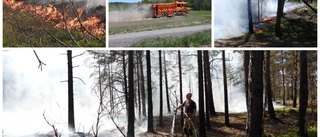 Räddningstjänsten släckte brand i Vrinneviskogen