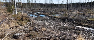 Vi behöver öka skogsägarnas valfrihet