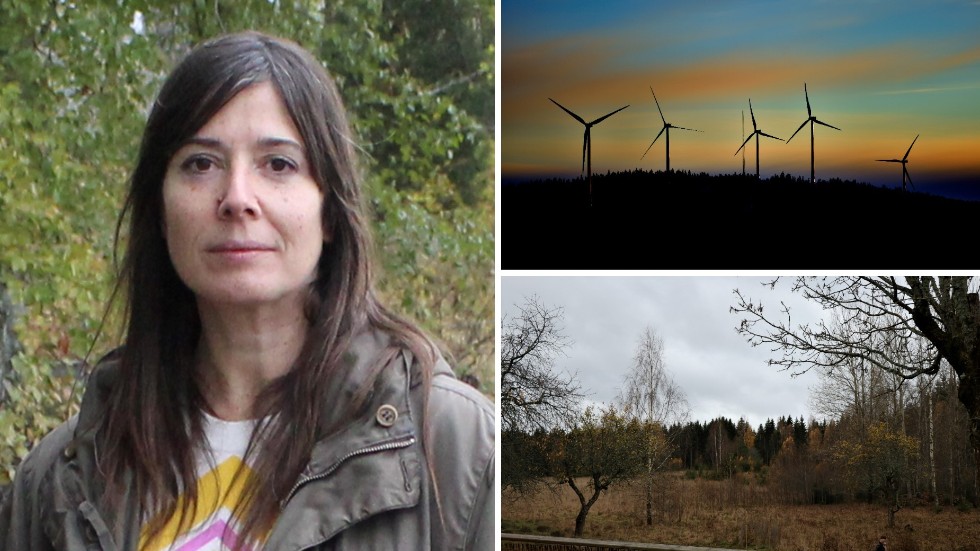 Alice Lewy har kämpat länge mot vindkraftsplanerna i Finspångs kommun och är otroligt lättad över beskedet.