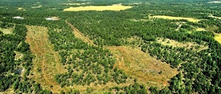 Fortsatt kamp för Ojnare