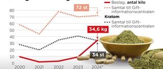 Växtdroger flödar in i Sverige – Tullverket kan bara se på