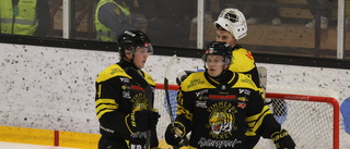 VIK lånar back från Hockeyallsvenskan