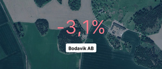 Bodavik AB: Här är de viktigaste siffrorna senaste året