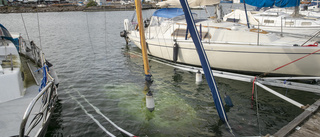 Segelbåt har sjunkit i Oxelösunds fiskehamn