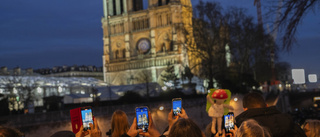 Bara barbarer hade avstått från att rädda Notre Dame