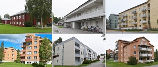 EXCLUSIVE: Skellefteå housing crisis: Norran reveals waitlists