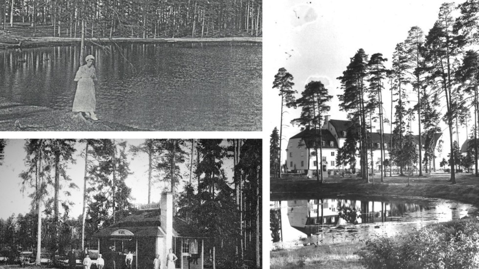 Liggande bilder: Skogssjön mot norr och Gustav Roberts-skogen. Serveringen Skogshyddan. Stående bild: Skogssjöns västra ände med Hemgården i bakgrunden.