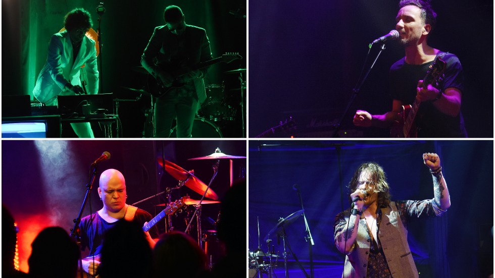 Febern, Krake, Concealed elephant och Gray soul pennies imponerade särskilt mycket på recensenten under Kulturnatten.