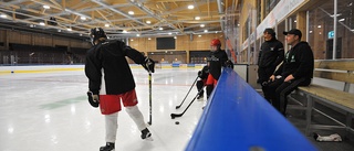 Ingen trodde på den utvecklingen ■ "Första tankarna var att vi kör så får vi se hur länge det överlever" ■ nu har Maif två lag.