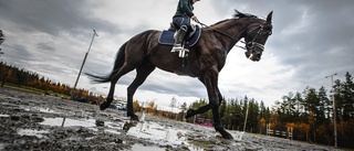 Tuff tid för Elisa efter den svåra olyckan: "Jag tappade allt"