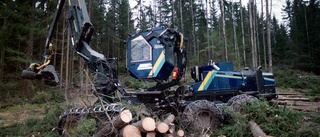 Viktigt skydda natur, ekosystem och biologisk mångfald