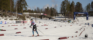 Medaljregn för Piteå Elit: "Surt så nära en dubbel"