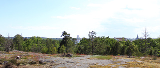 Nytt naturreservat godkänt i Västervik