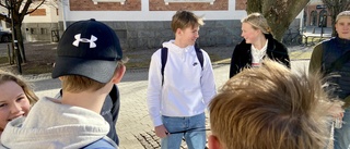 Skolan behöver lite vettigt stöd