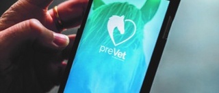 Från idé till verklighet - app för hästägare