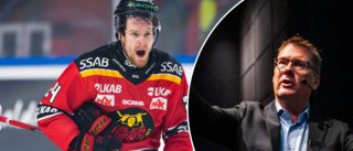 SHL:s domarbas slår ifrån sig: "Vi pratar aldrig om specifika namn"