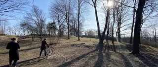 Därför blir det nobben – för förslaget för parken