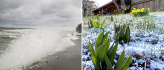 SMHI: Bakslag för våren – Snö och hårda vindar resten av veckan