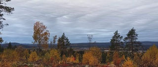 Läsarbild av himmelska vågor   