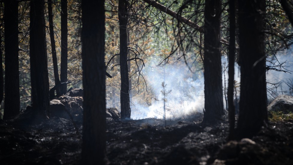 Bilden är tagen vid en skogsbrand i Jokkmokks kommun 2018.