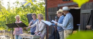 Äntligen musikkvällar med publik – Bengt, 87, reste i fyra timmar för att vara med