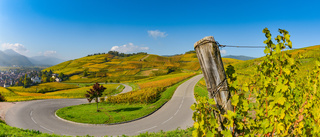 Alsace - vin, vingslag och sagolika byar