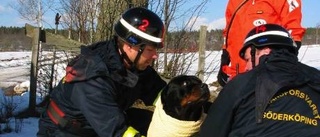 Hunden och matte hamnade i kanalen