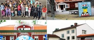 Oviss framtid för gamla skolor på landsbygden