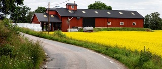 Svensken längtar till landet