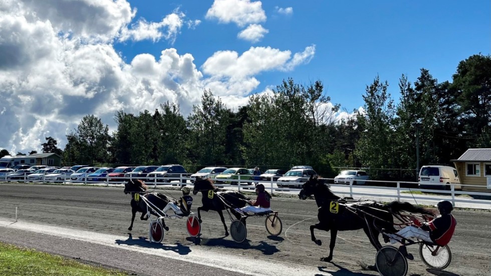 På torsdag är det dags för lunchtävlingar på Visbytravet.