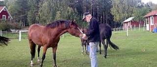 Hästarna och Lasse hörde ihop