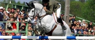 Mer guld i Norrköping horse show